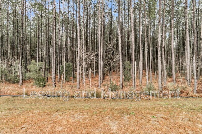 Building Photo - 245 Summer Tanager Dr