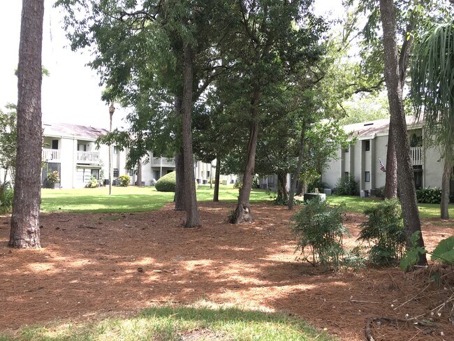 Building Photo - 149 Springwood Cir