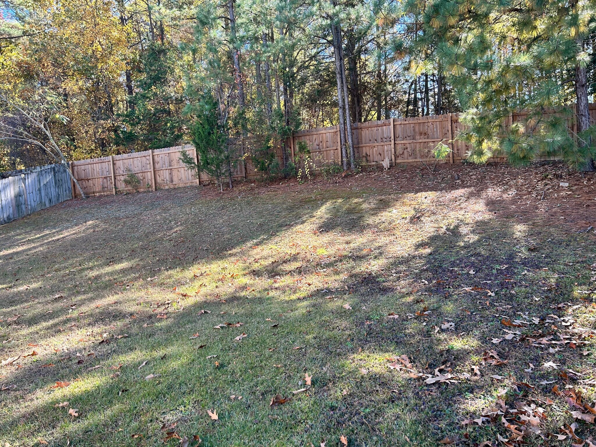 Building Photo - 7312 Brighton Village Dr