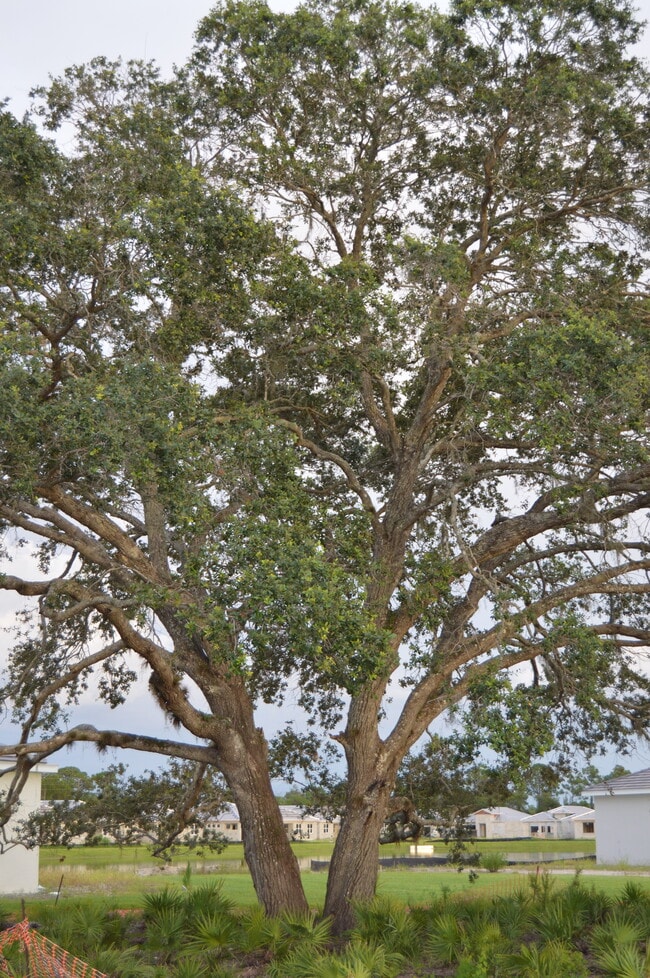 Building Photo - 636 IBIZA Loop