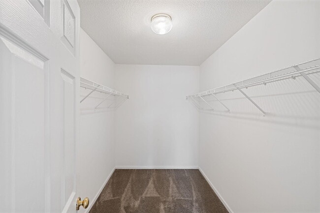 Building Photo - 3252 Wind River Cir