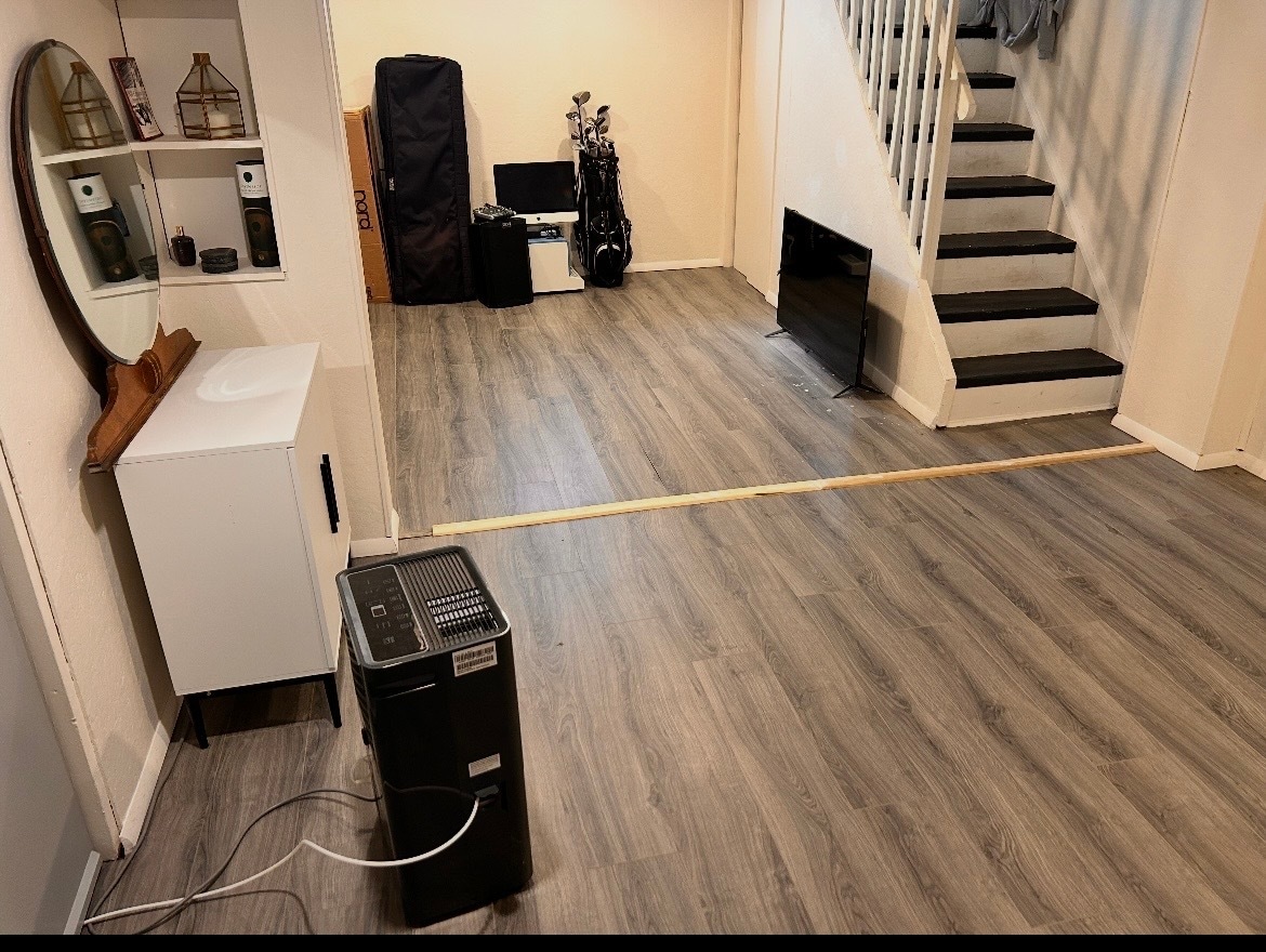 Additional lower level living room - 301 Marshall St