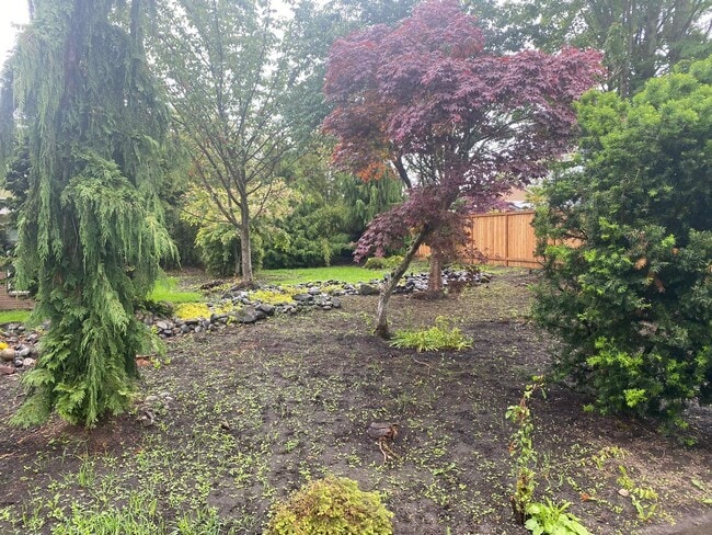 Building Photo - Renovated single family home in Seattle! B...