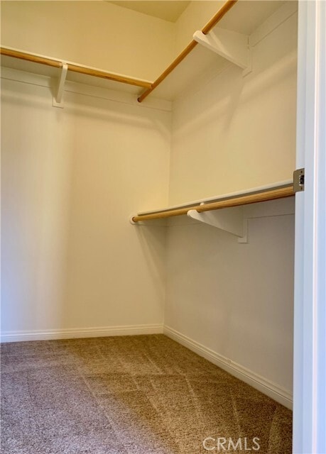 Building Photo - 81 Cipresso