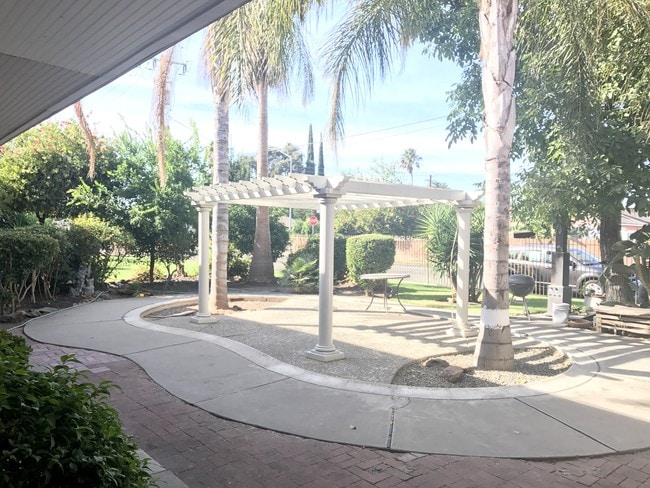 Building Photo - Olive Tree Apartments