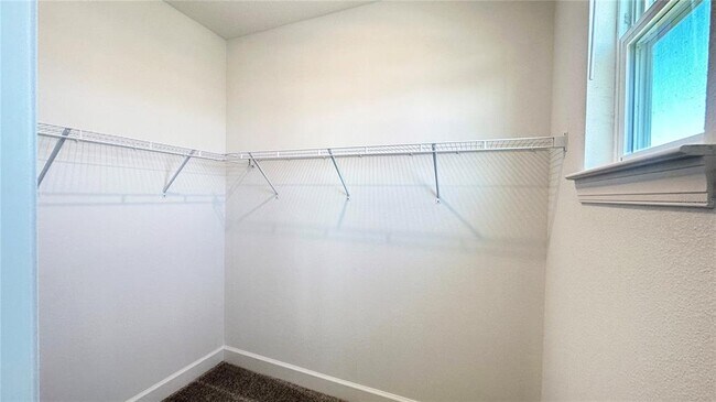 Building Photo - 3806 Savanna Palms Ct