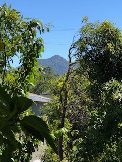 MOUNT TAM VIEW AT ENTRY - 1222 Sir Francis Drake Blvd