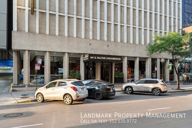 Building Photo - 100 E Walton St