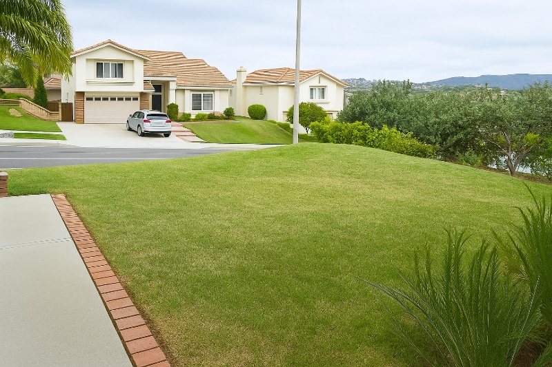 Building Photo - 1443 Avenida La Posta