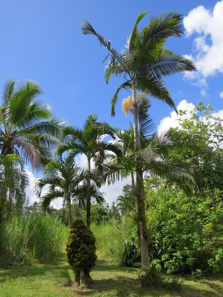 Building Photo - 15-1414 24th Ave