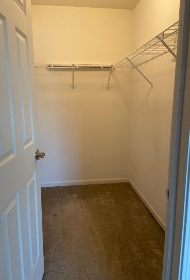 Building Photo - 1545 Brompton Ln