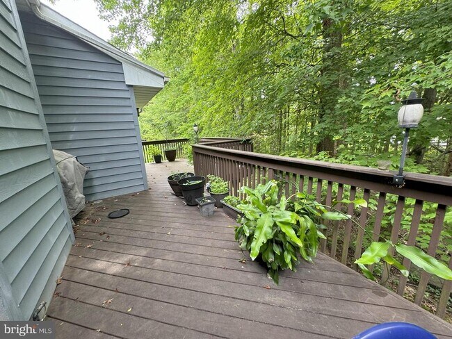 Building Photo - 36 Lavender Dr