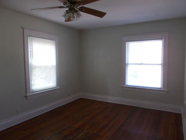 Building Photo - 41 Doran St