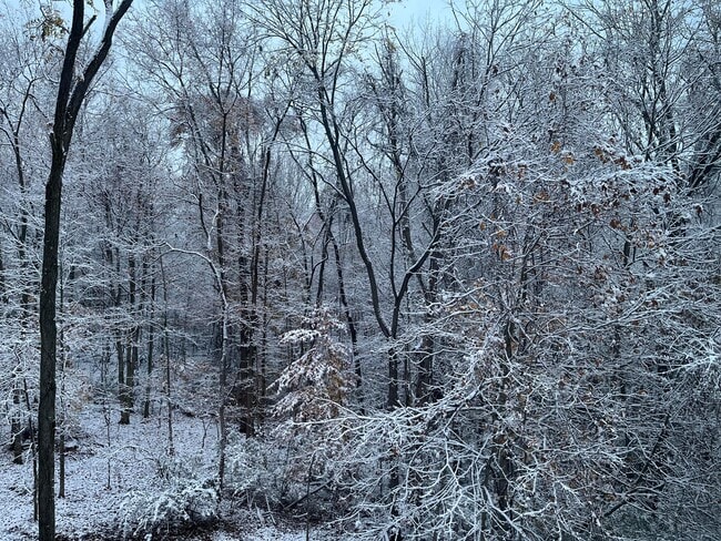 Building Photo - 7916 Bridge Crossing Ct