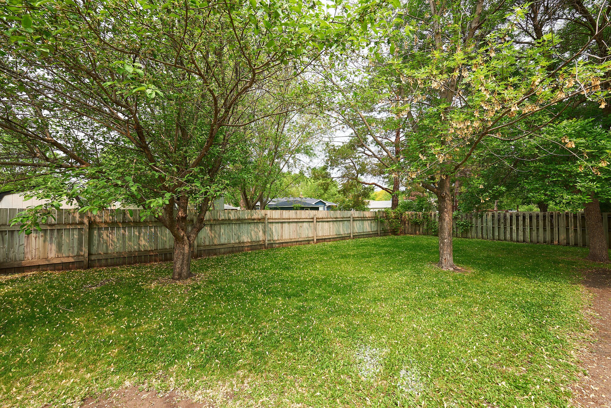 Back Yard - 1353 15th Ave S