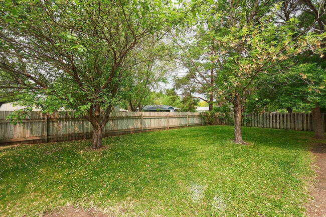 Back Yard - 1353 15th Ave S