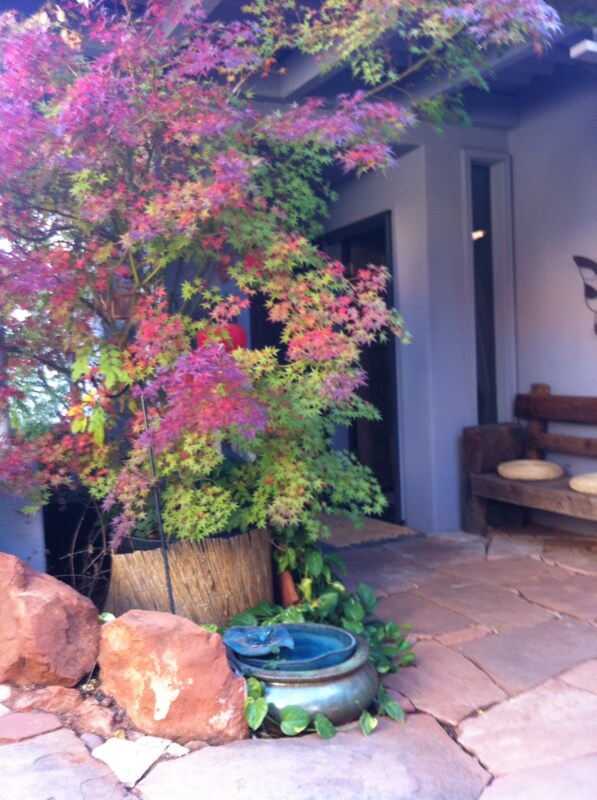 Building Photo - 63 Cibola Dr