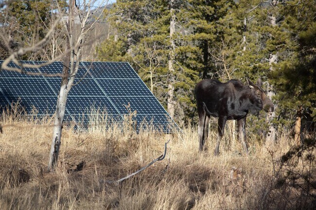 Building Photo - 173 Lodge Pole Way
