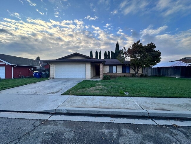 Primary Photo - Available Soon!