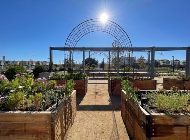 Building Photo - Five Points 3 Bedroom Home in Valencia!