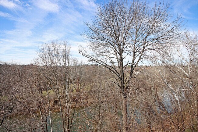Building Photo - Top Floor, Pet-Friendly Riverbend Condo on Pantops
