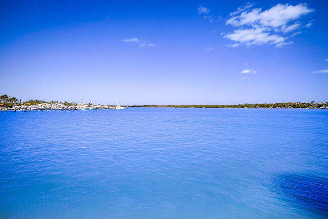 Building Photo - 300 Intracoastal Pl