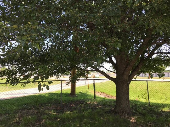 Building Photo - Single Family Home