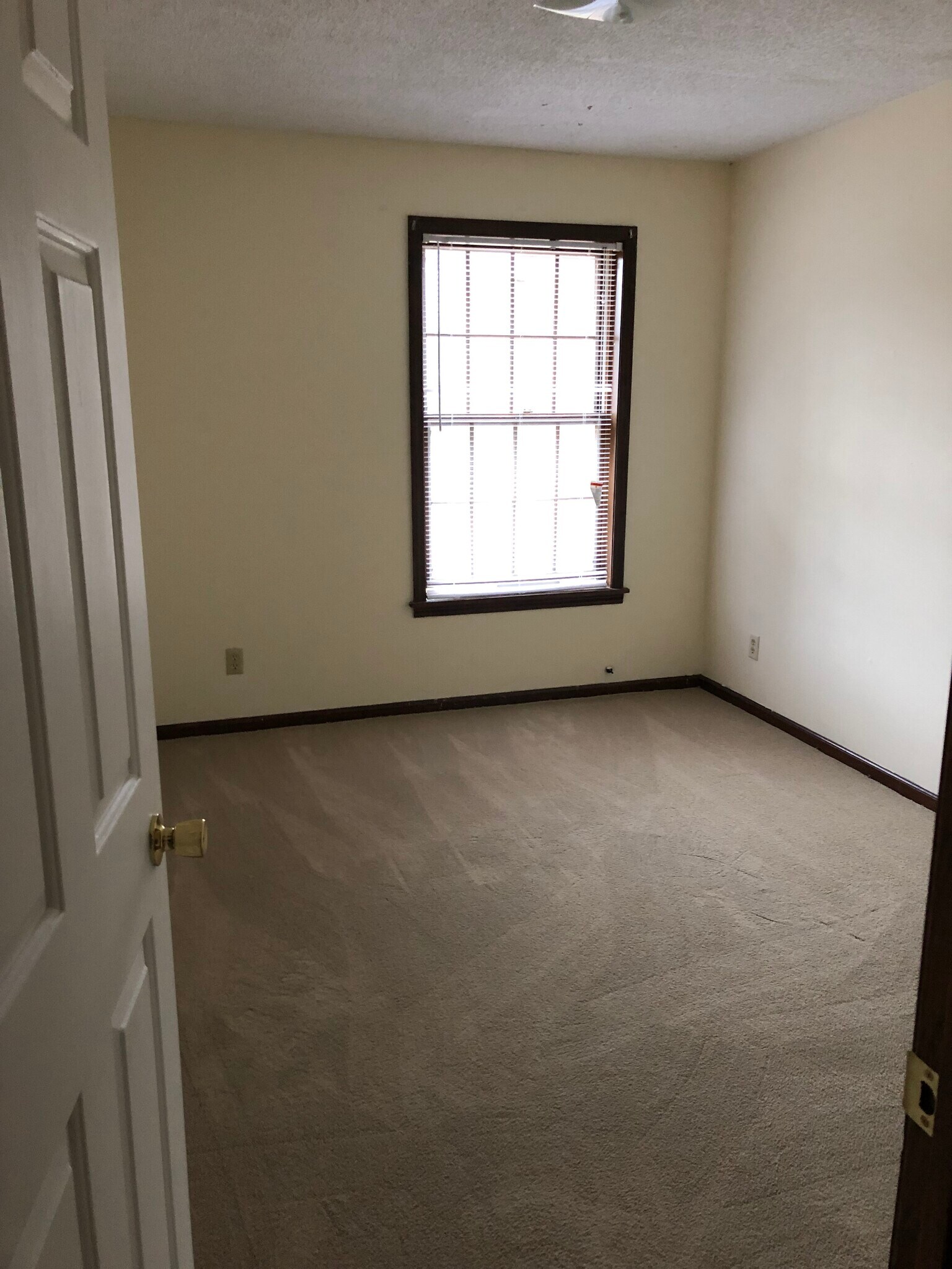 Building Photo - 117 Briarwood St