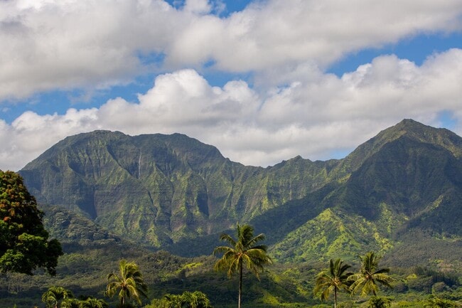 Building Photo - 5-5246 Kuhio Hwy.