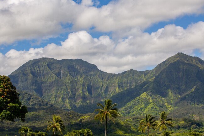 Building Photo - Downtown Hanalei, walk to town and beach, fully furnished 3 bedroom 2bath home available 9/1/26