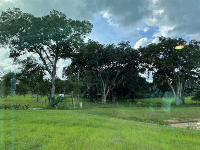 Building Photo - 36308 Spanish Rose Dr