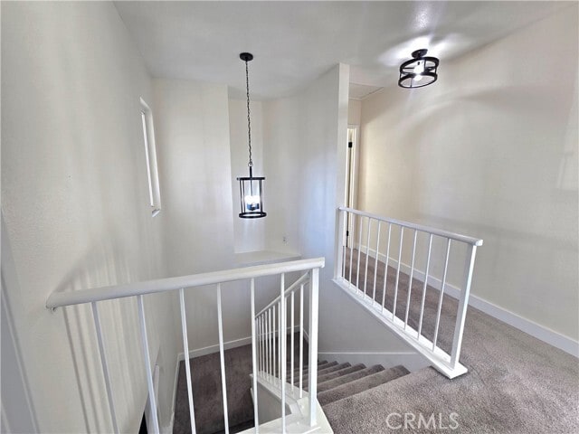 Building Photo - 11629 Mt Jefferson Dr