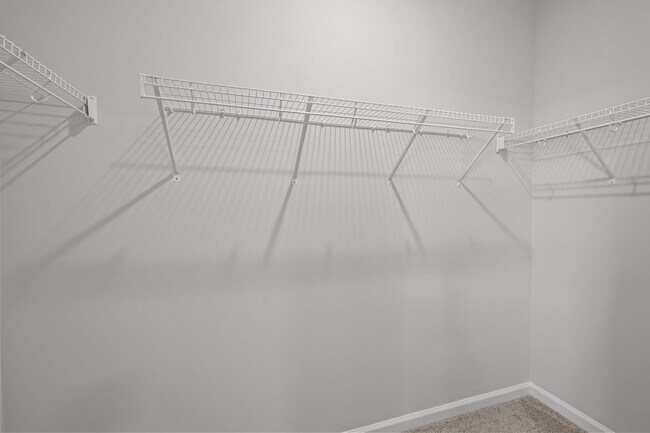 Building Photo - 2815 Carbondale Ct