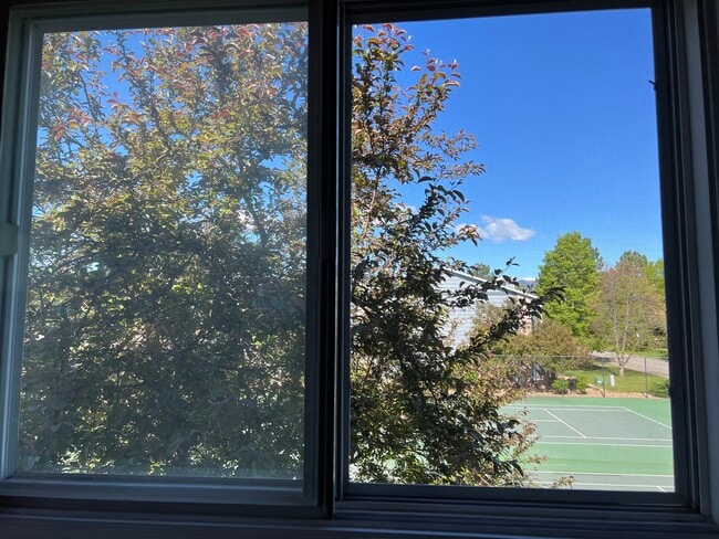 West views from Master Bedroom - 4670 White Rock Cir