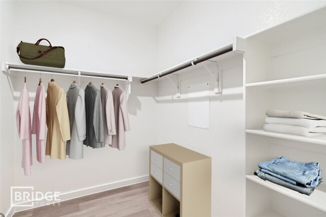 Building Photo - HAMILTON PLAN