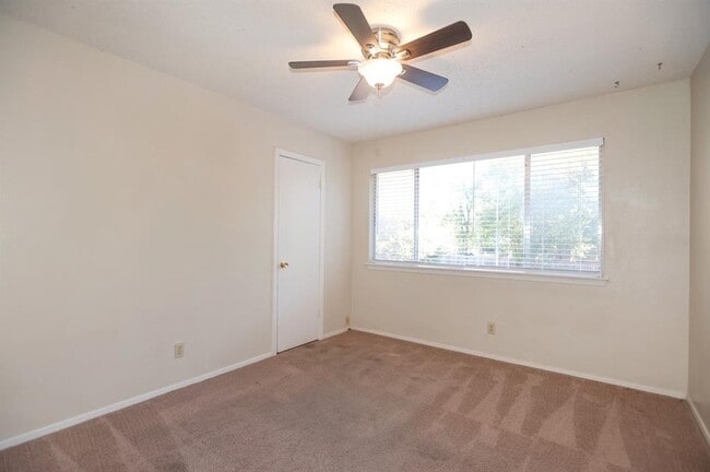 Building Photo - 4203 Balboa Ln