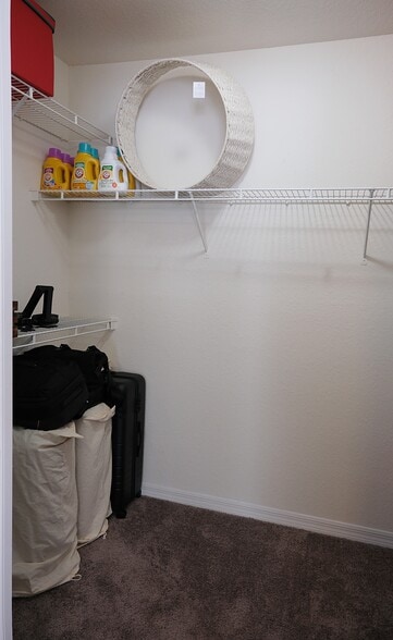 Walk-In Closet - 2923 Shadow View Cir