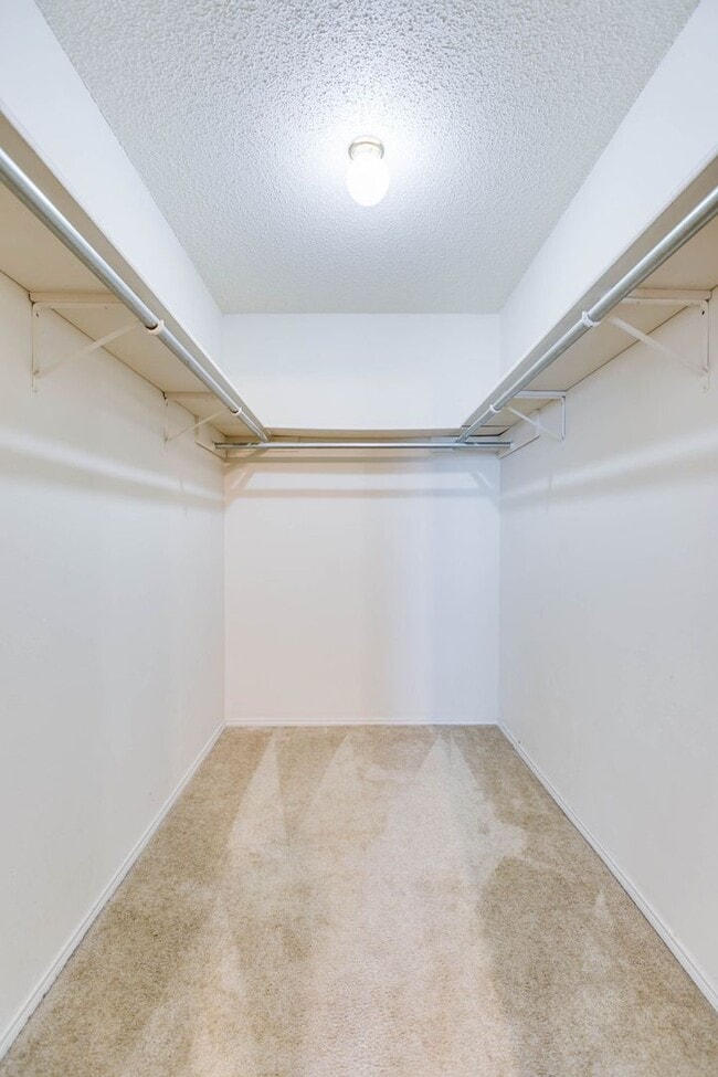 Building Photo - COMING NOVEMBER 2025 - 3 Bedroom Home in t...