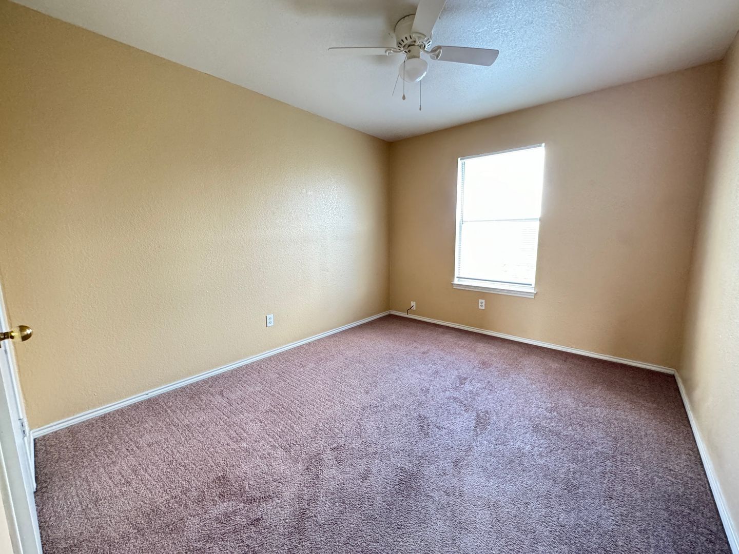 Building Photo - 1601 Cedarhill Dr