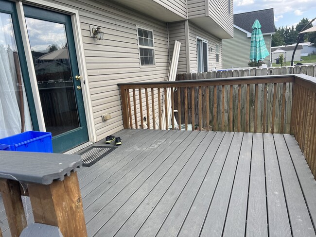 Backyard - 525 Meade Ave