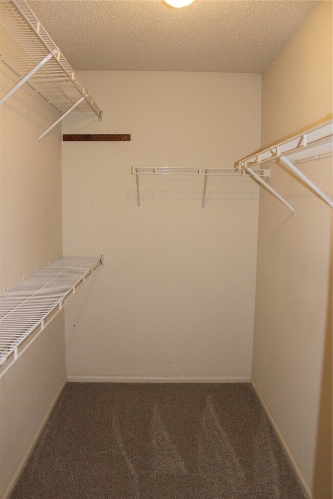 Building Photo - 5 Bluefield Ct