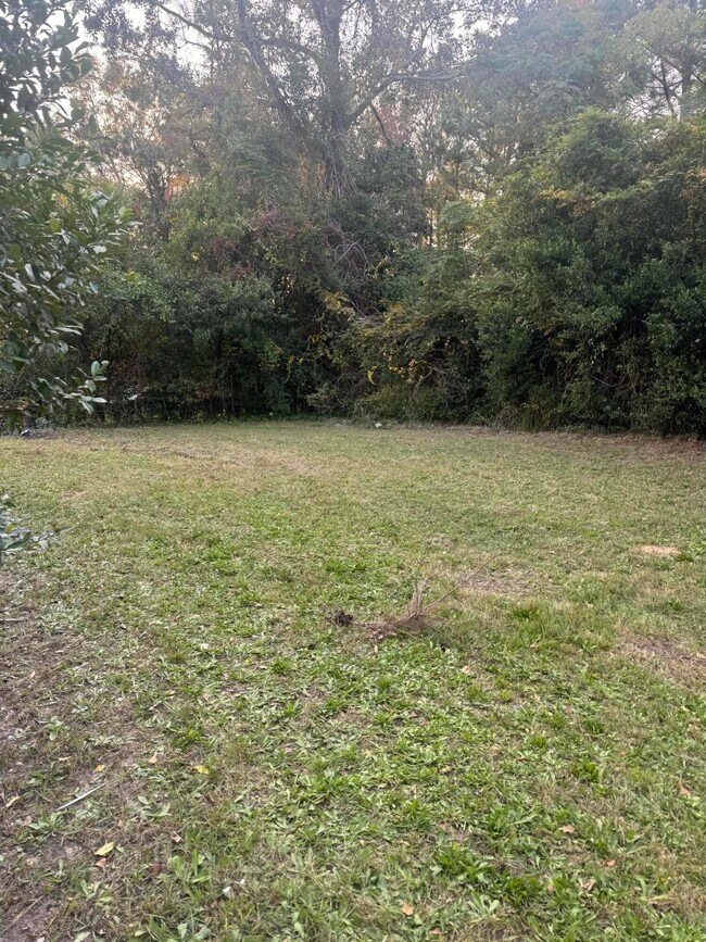 Building Photo - 2919 Panhandle Cir