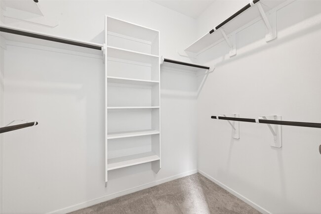 Building Photo - 6419 Orchid Bch Dr