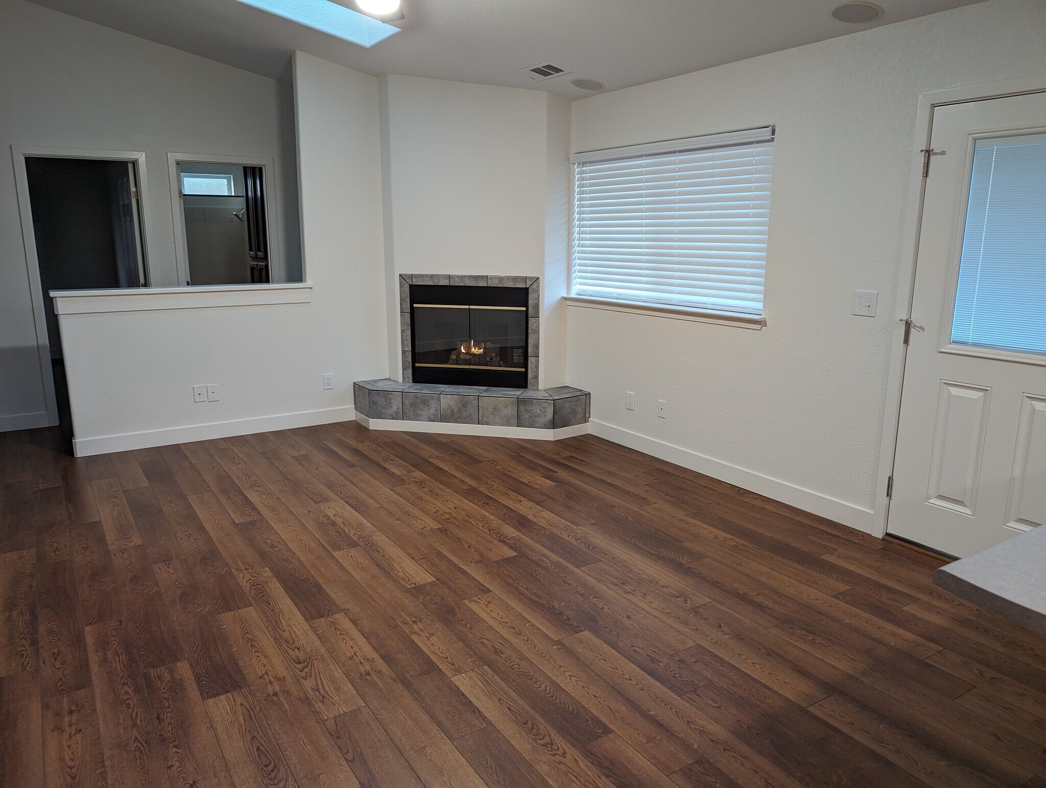 Fireplace - 225 Shadowrun Ct