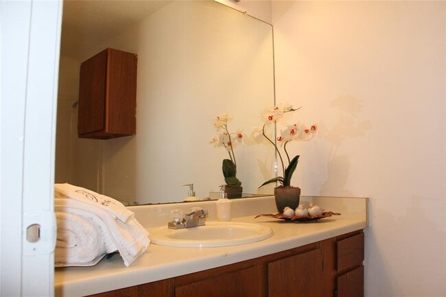 Building Photo - 11611 Rustic Rock Dr