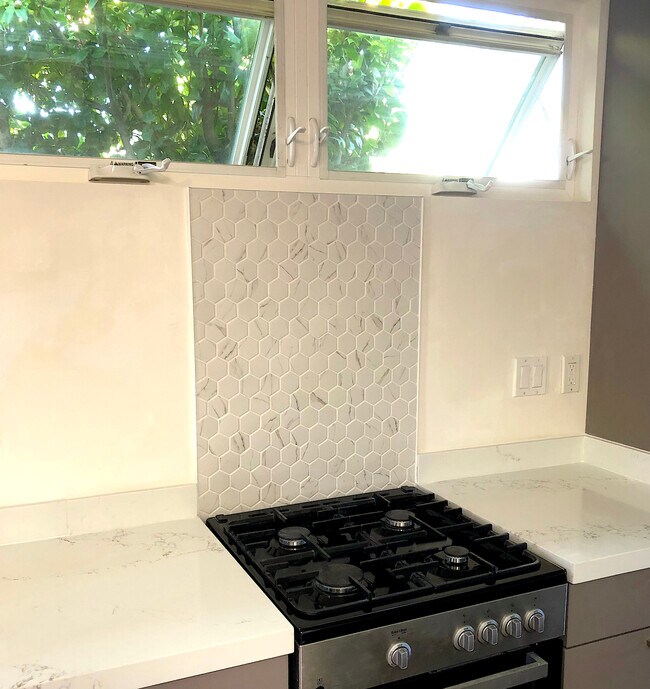 Modern electric range & disigner backsplash - 4360 Stewart Ave