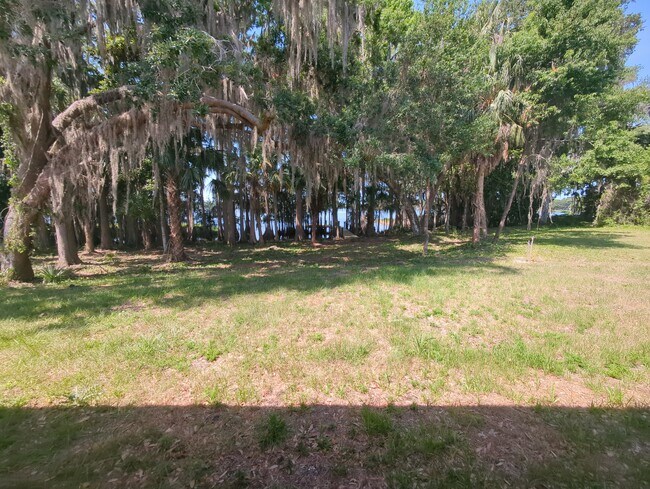 Building Photo - 980 Ibis Cir