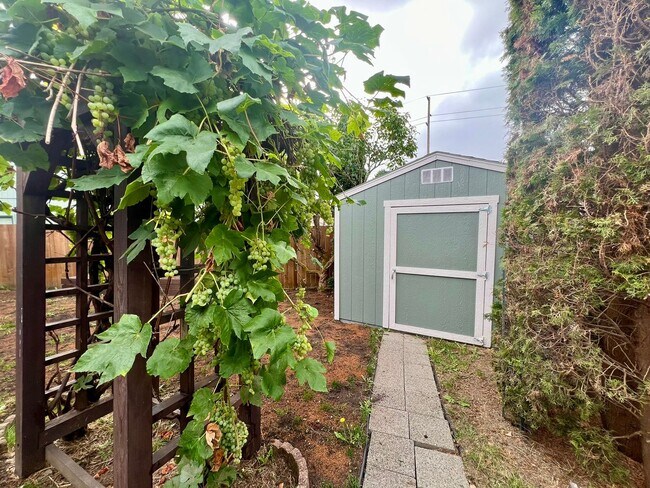Building Photo - Well Maintained 3BD - Yard Maint. Included