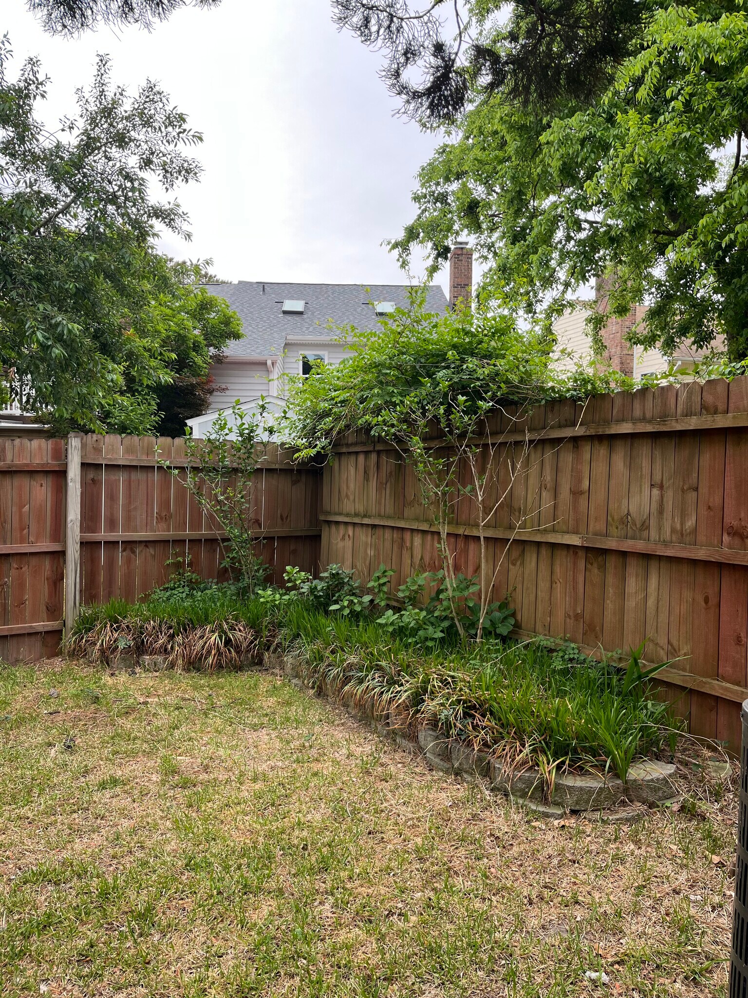 Backyard - 3751 Pendleton Ave