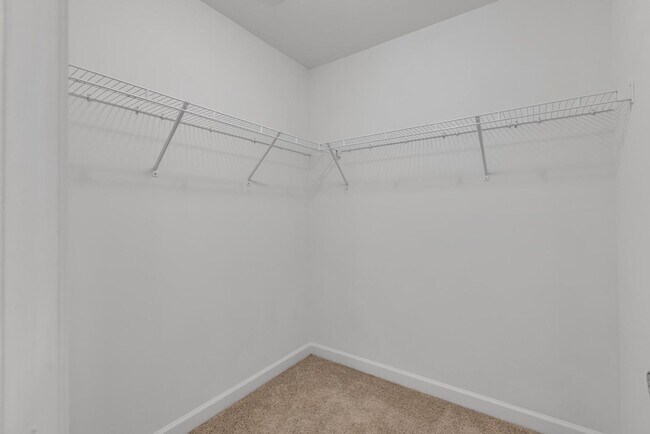 Building Photo - Three Story with Media Room!